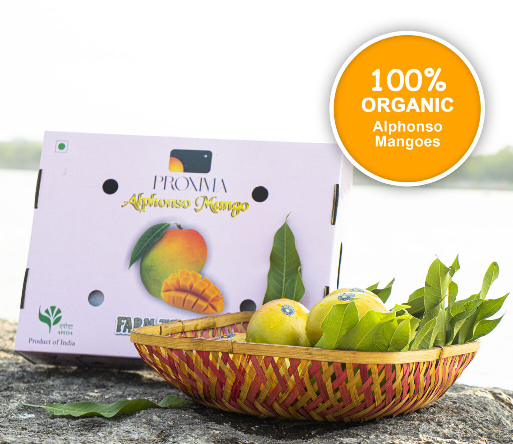 alphonso-mango-products-new